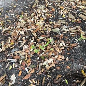 Meet your Posher, Margaret